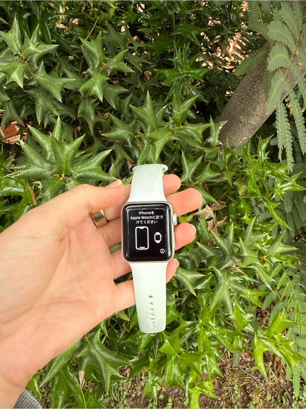 Apple Watch Series 3, 42mm- Silver